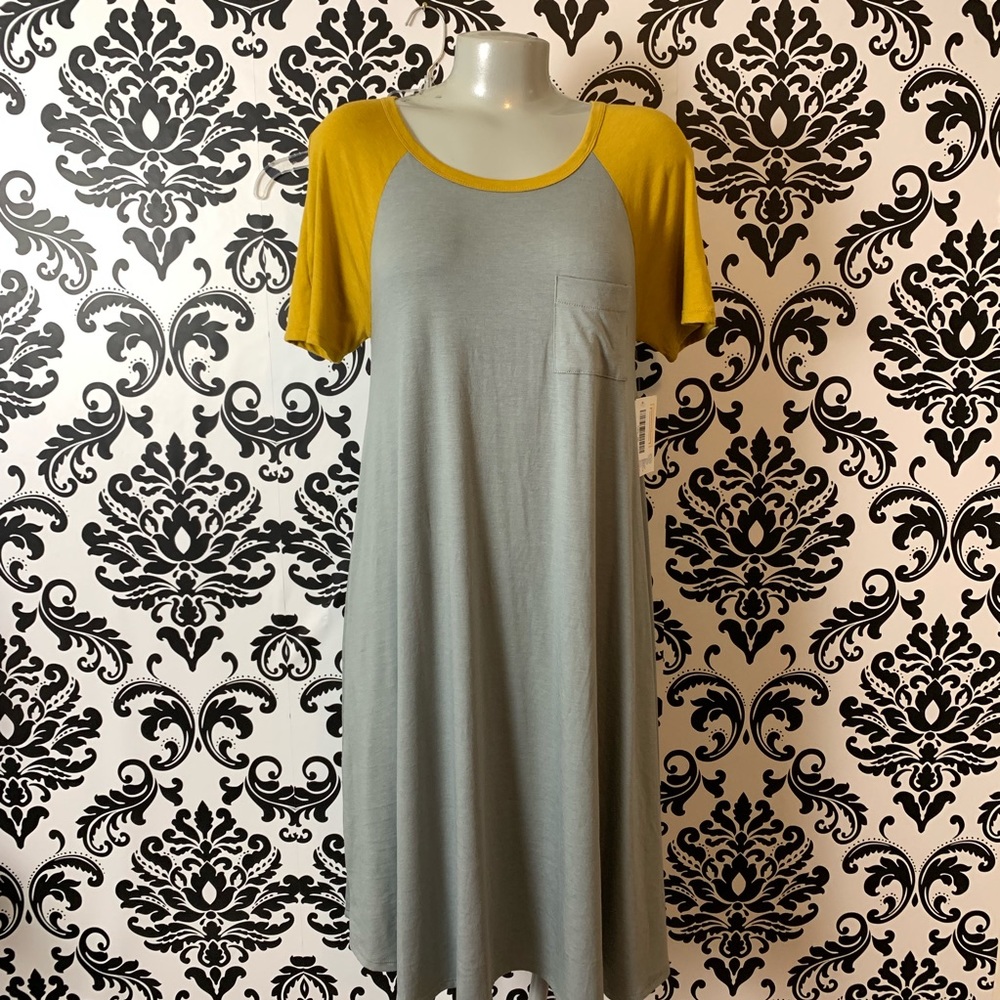 LuLaRoe NWT Carley Dress